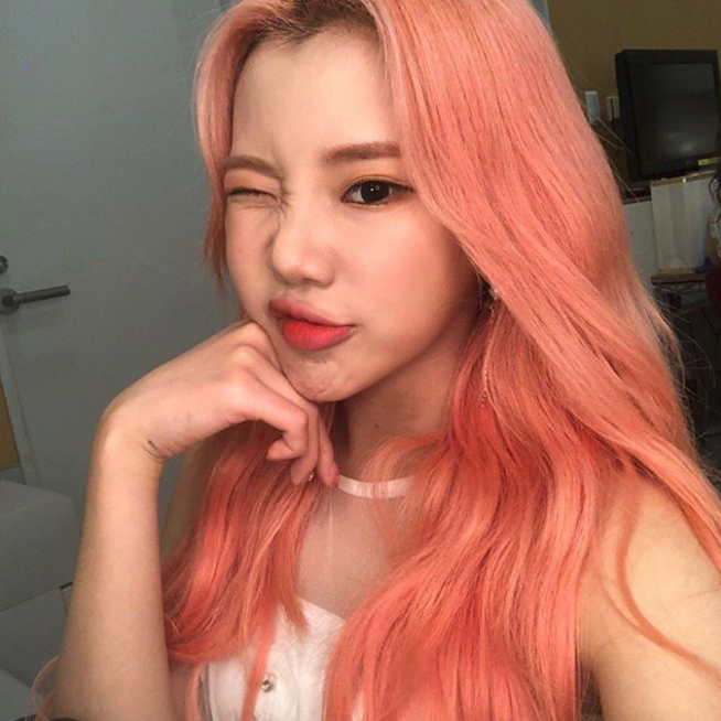 「jooe momoland gif」的圖片搜尋結果