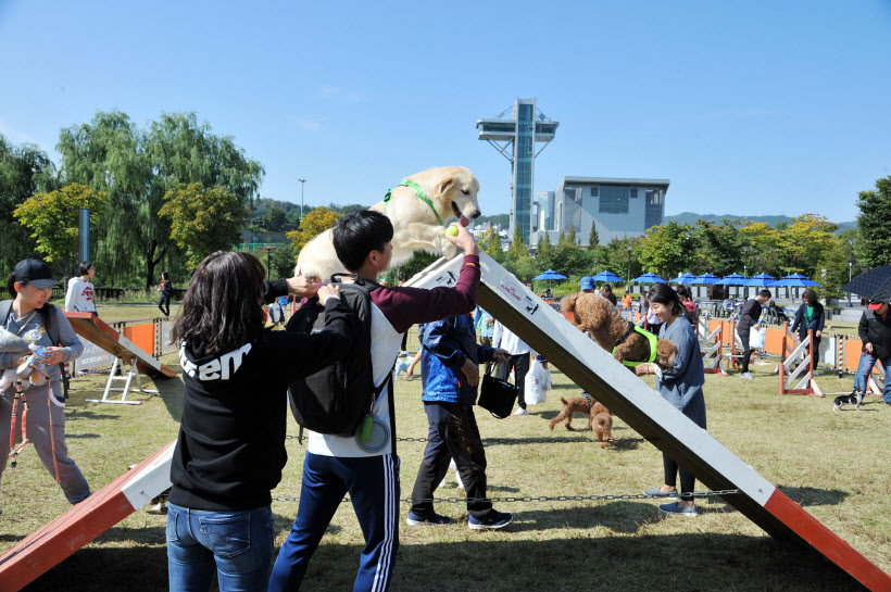 지난해 10월 삼평동 화랑공원서 열린 성남 반려동물 페스티벌