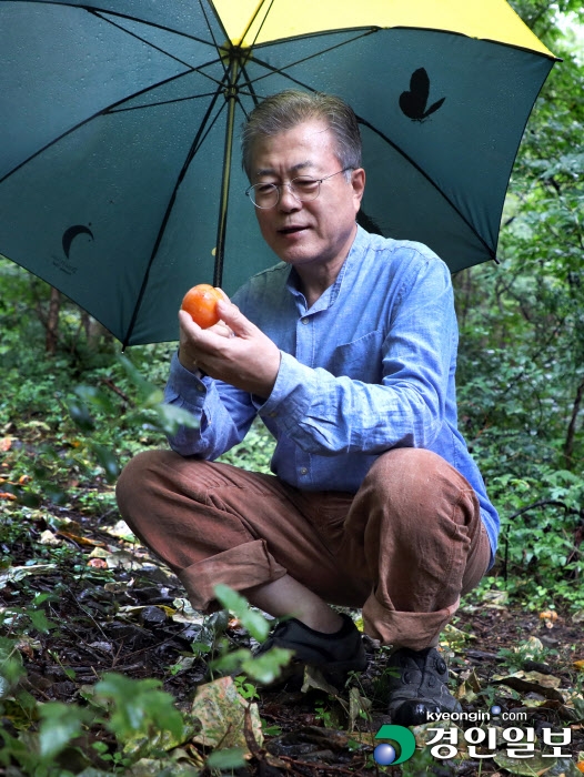 문 대통령, '산책하며'