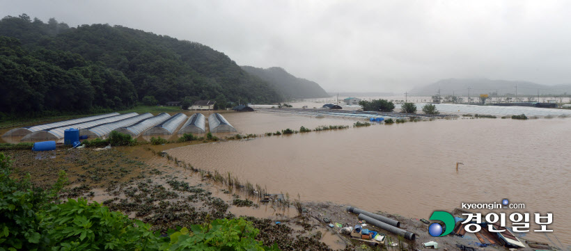 [경인포토]폭우로 침수된 임진강변 농경지