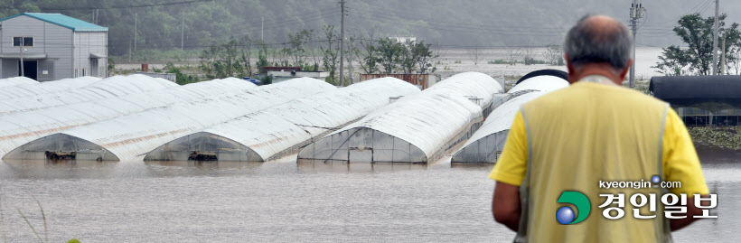 폭우에 잠긴 임진강변 농경지2