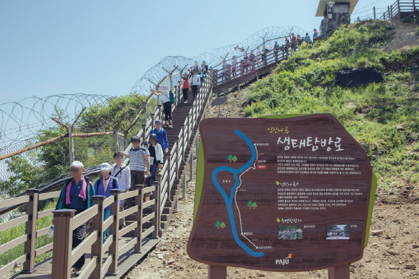 2015 평화누리길 걷기행사(파주시) (3)