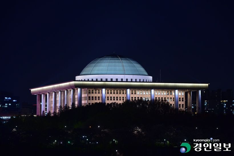 국회의사당-2020-야간-사진부-(2).jpg