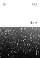 [2023 내가 추천하는 인천책·(7)] 김경은 소설가 - 김영하 장편소설 '검은 꽃'