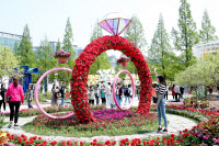 꽃들로 물드는 일산호수공원 '2024 고양국제꽃박람회'