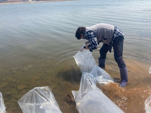 경기도, 빙어 자원 회복 위해 부화 어린 물고기 100만마리 방류