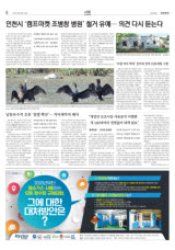 인천 남동유수지 조류 '질병 확산'… 저어새까지 폐사
