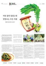 [新팔도명물] 여름철 지친 입맛 살려주는 '일산 열무'